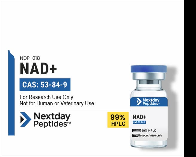 NAD+ research peptide — ≥99% HPLC purity — Nextday Peptides, research use only
